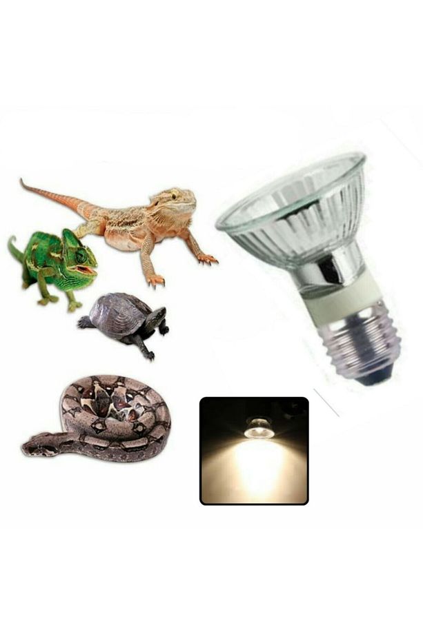 Uva-uva 3 Seramikli 50 Watt Isıtıcı Lamba 2 Adet - 1