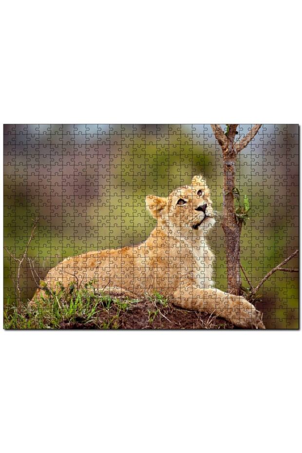 Cakasepetim Female Young Lion 500 Piece Puzzle Jigsaw Mdf (Wood)