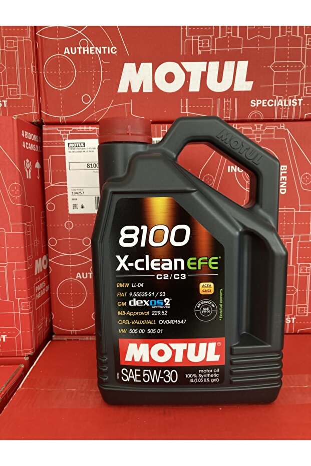 8100 X-clean Efe 4lt