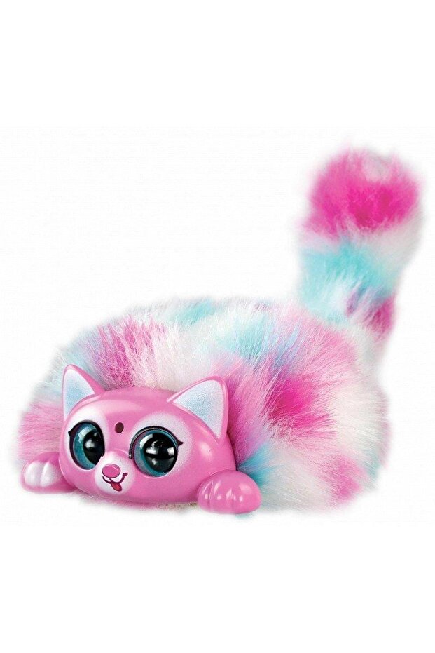 تشكيلة القطط الرقيقة - 2