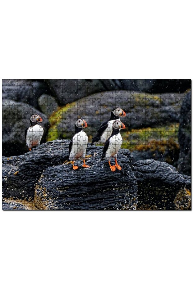 Puffin Bird Beak Rock 500 Piece Puzzle Jigsaw Puzzle Mdf (wood)