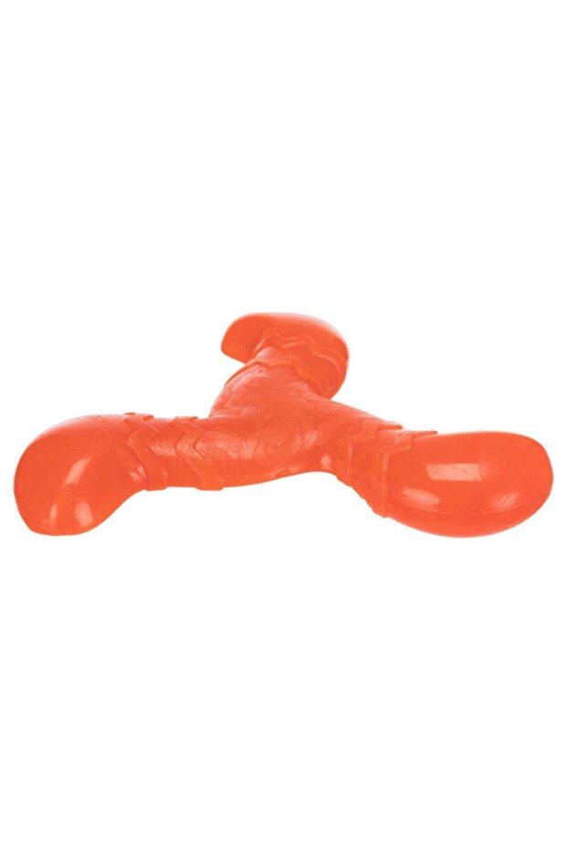 فبفبففدفن - 5