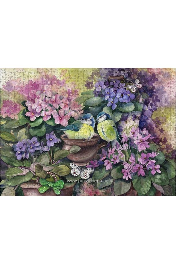 Nova 1000 Parça Puzzle - Menekşeler Arasında Kuş Yuvası (Suluboya) - 5
