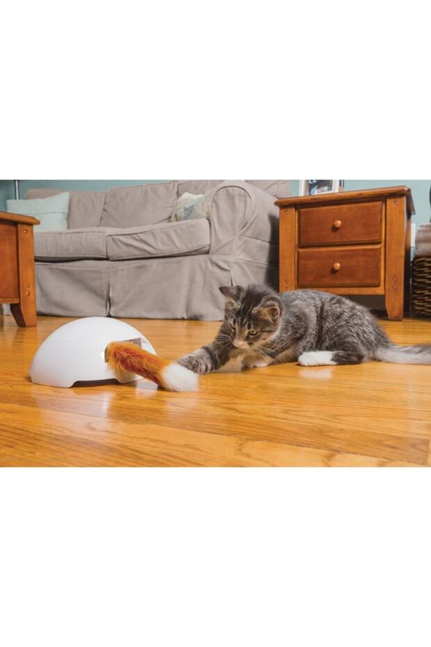 Frolicat Fox Den Interactive Oyuncak - 1