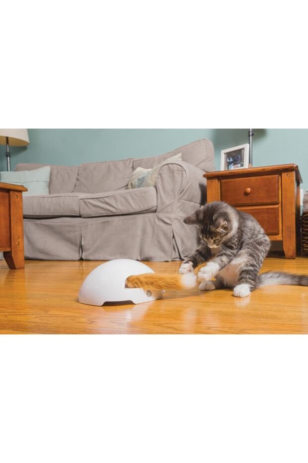 Frolicat Fox Den Interactive Oyuncak - 2