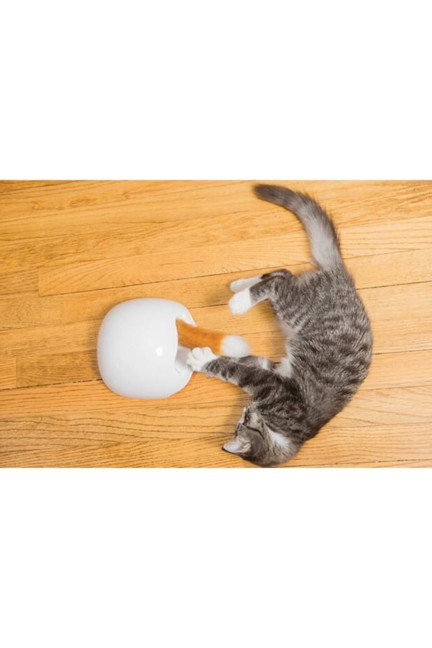 Frolicat Fox Den Interactive Oyuncak - 4