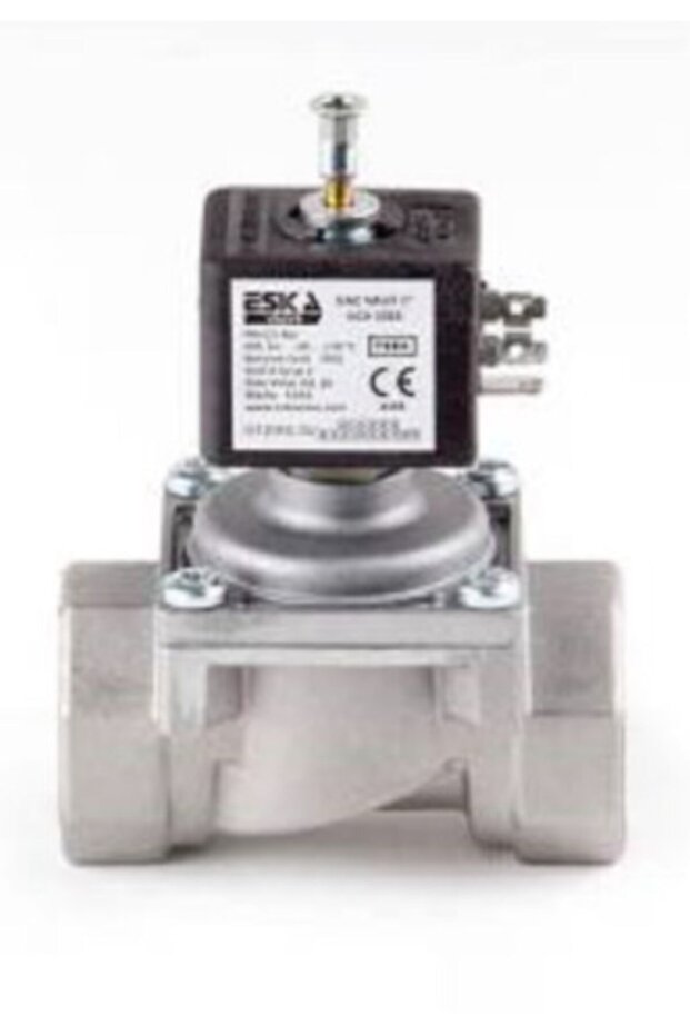 Gaz Kesici Selenoid Eska Selenoid Vana 1 - 2