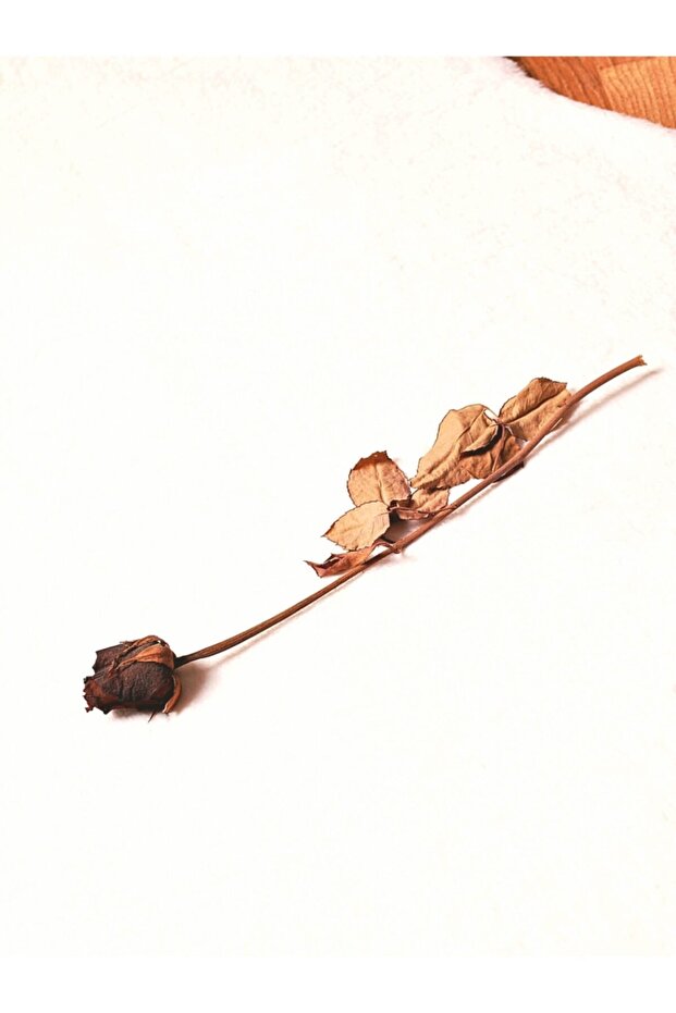 Post Peluş Beyaz - 3