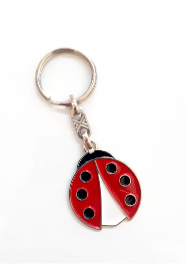 Ladybug Keychain