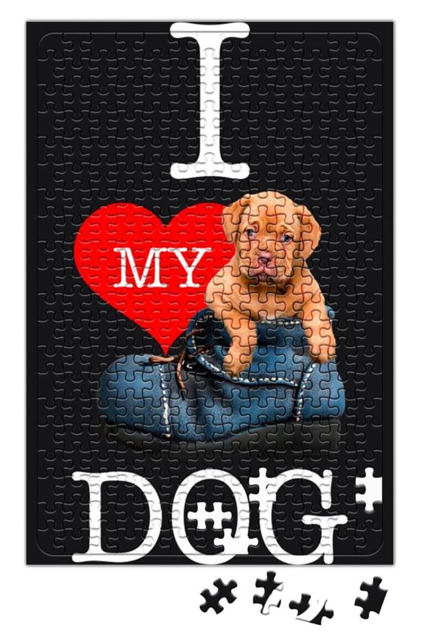 I Love Poker Puzzle 240 Piece Jigsaw