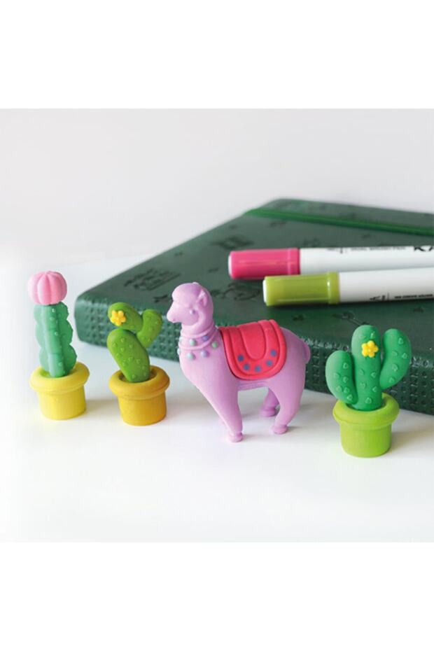 Kaktüs Silgi Seti (4’lü) - 1