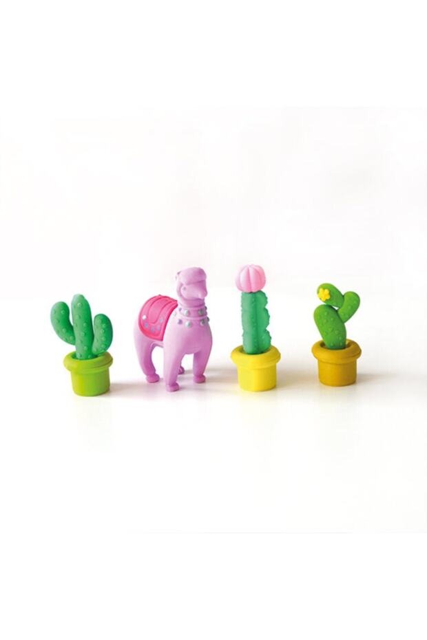 Kaktüs Silgi Seti (4’lü) - 4