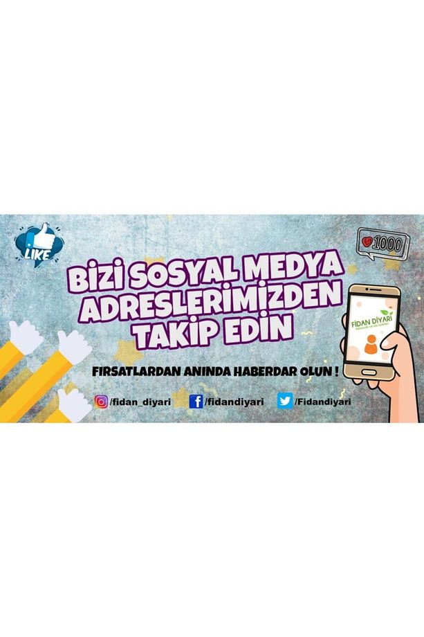 Çınar Kartopu Çiçeği - 2