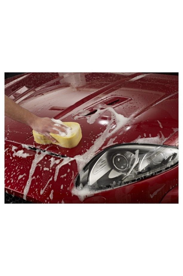 Bodywork Shampoo Conditioner pH Nötr Cilalı Şampuan 1 lt - 4