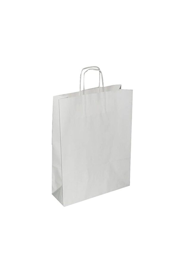 White 25x12x31 (25 Pieces) (Paper Bag)