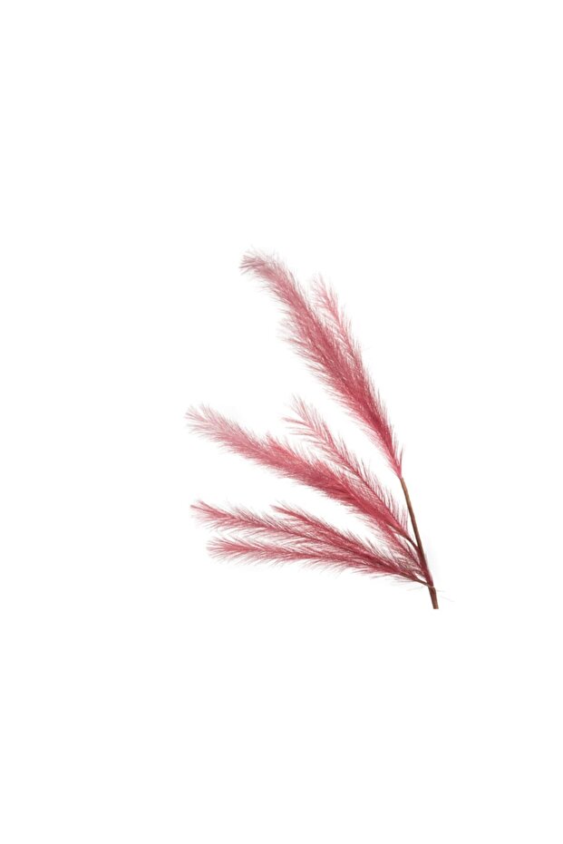 Ruby Pampas Yapay Çiçek - 1