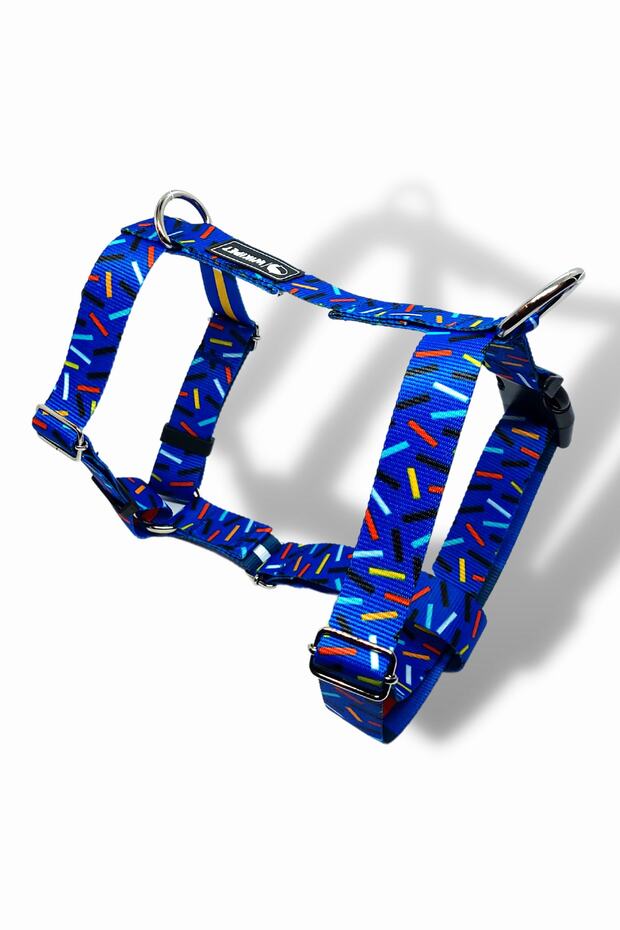 Friyay Köpek Tasma Seti Medium - 2