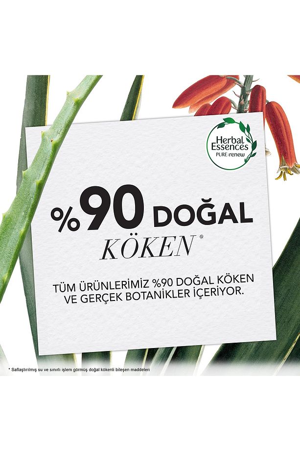 Şampuan Onarıcı Fas Argan Yağı 400 ml - 3