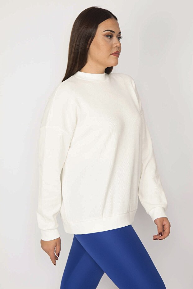 Women's Large Size Bone Crew Neck Self-Striped Long Sleeve Blouse 65n29904
