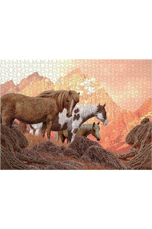 Puzzle 1000 Parça - 4
