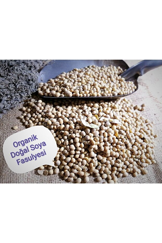 Soya Fasulyesi 1 Kg - 2