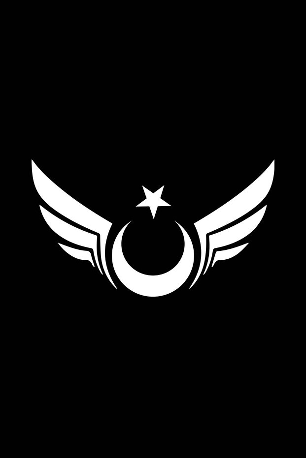 Moon Star Patterned Winged Auto Car and Glass Sticker - 15x8 cm