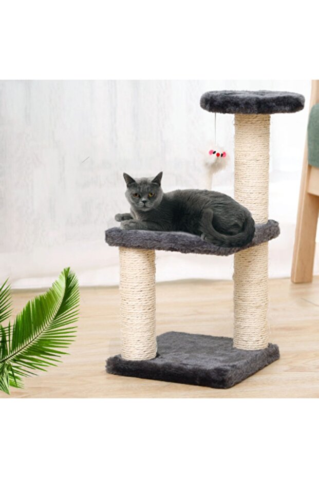 خطوة صغيرة للخدش الضخم - 1