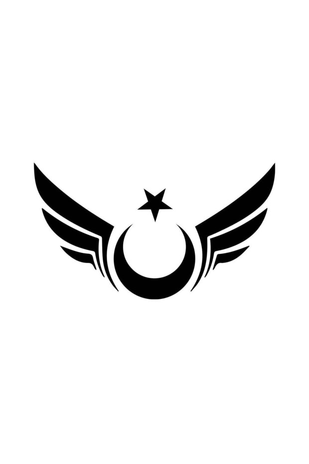 Winged Crescent Moon and Star Sticker, Car Sticker, Window Sticker, 15 x 8 cm