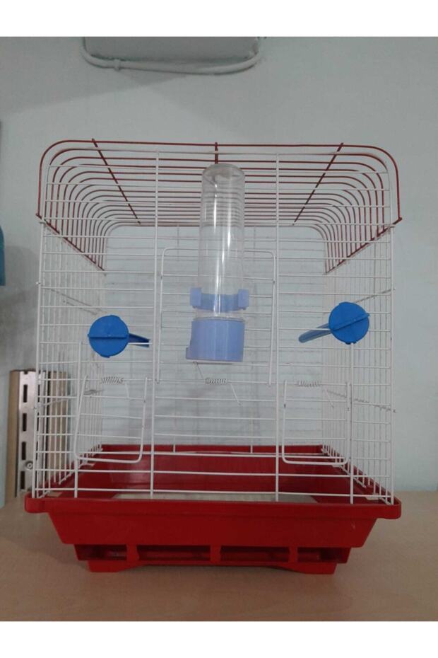 Kuş Kafes - 2
