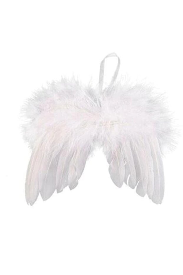 Newborn Photo Shoot Angel Wing, Butterfly Wing