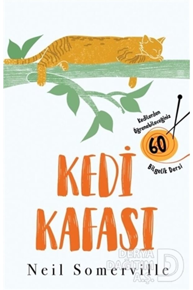 Kedi Kafası