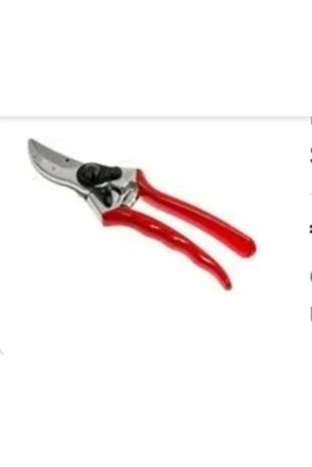 2 Pruning Shears - 2