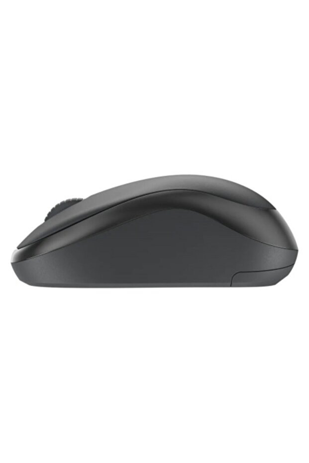 Mk295 Klavye + Mouse Kablosuz 920-009804 - 5