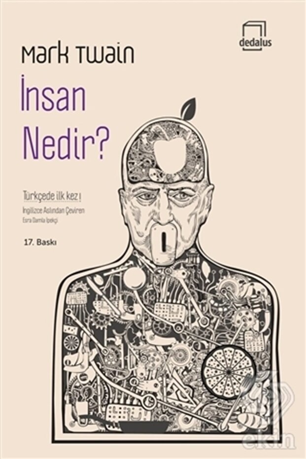 Insan Nedir?