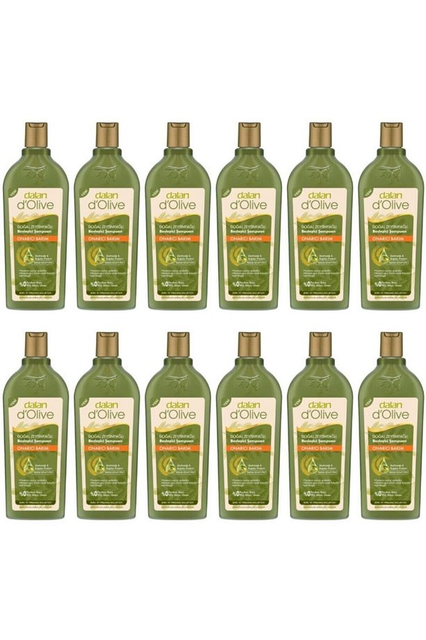 Onarıcı Bakım Şampuanı 400 ml 12 Adet + Biota Duş Jeli - 1