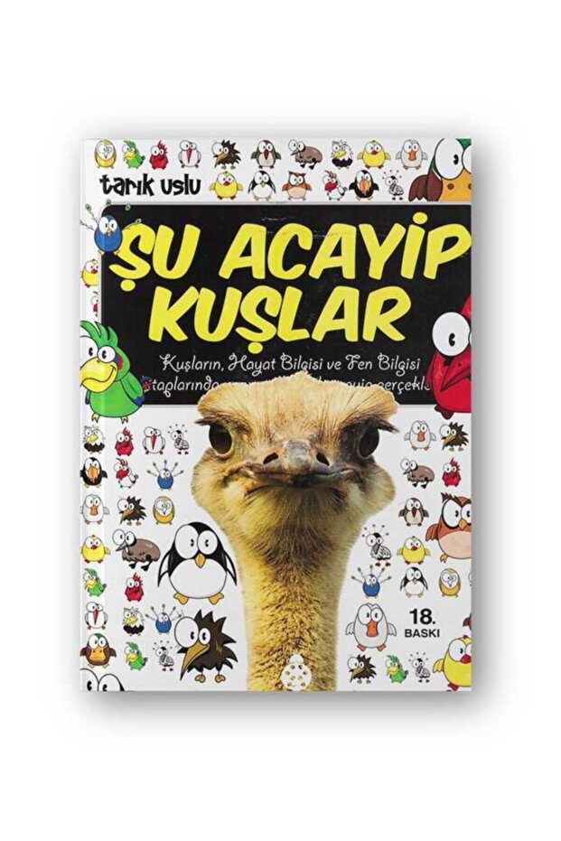 Şu Acayip Kuşlar