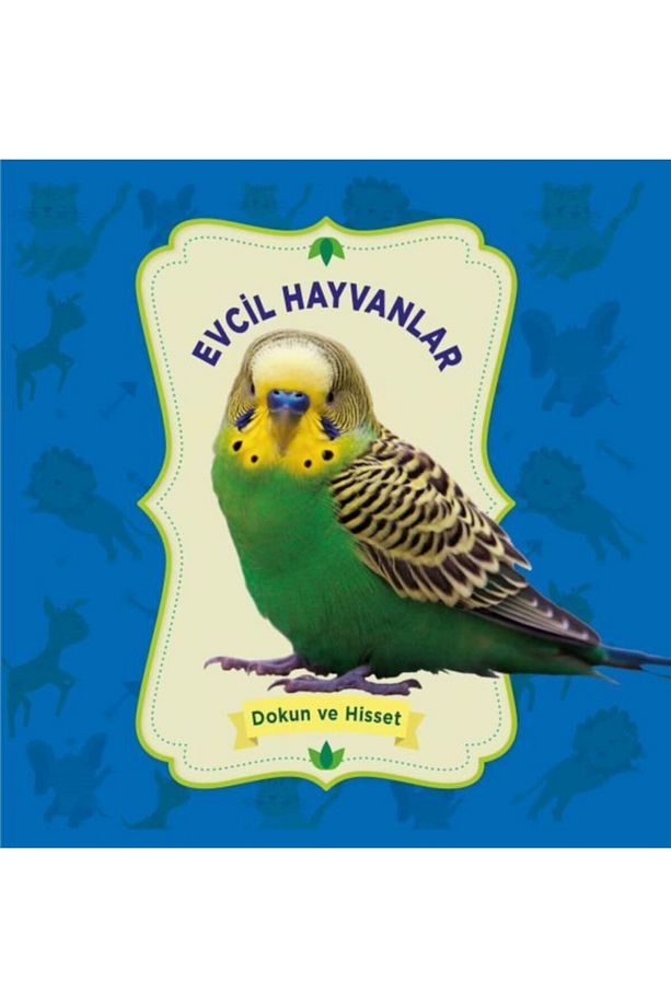 Evcil Hayvanlar - Dokun Ve Hisset - 1