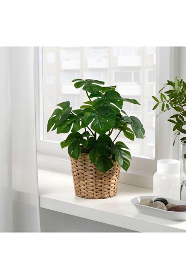 Fejka Yapay Bitki, Monstera - 3