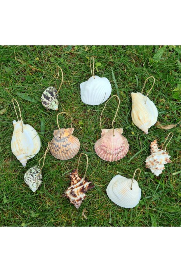 Christmas Tree Ornament Real Seashell Set-10 Pieces