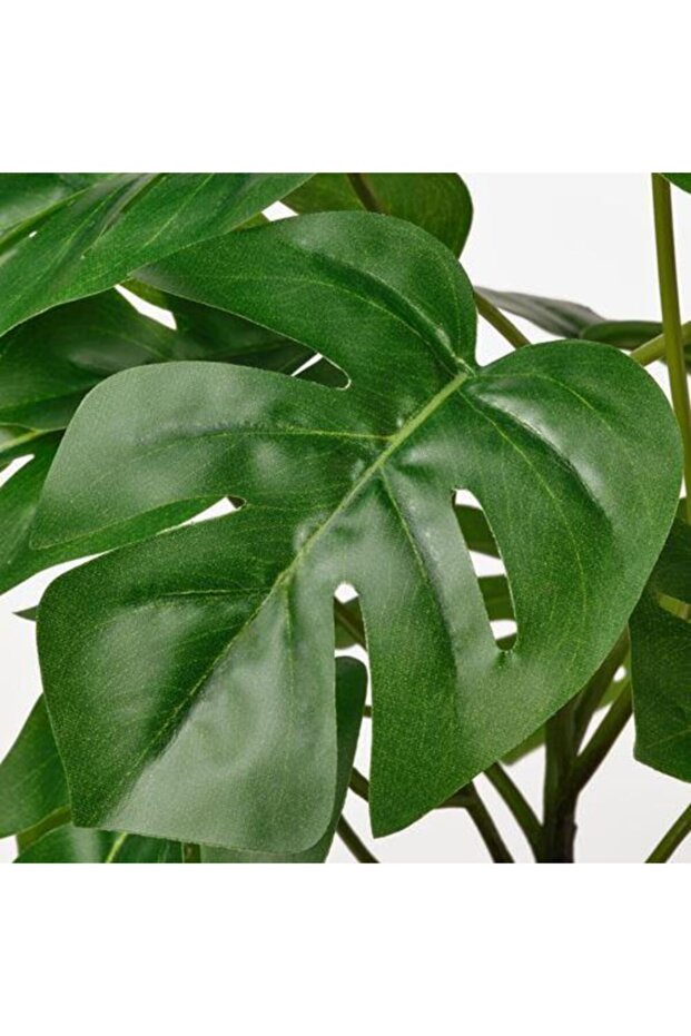 Fejka Yapay Bitki, Monstera - 2