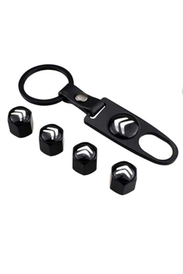 Citroen C-Elysee Stainless Steel Valve Cover and Keychain Set
