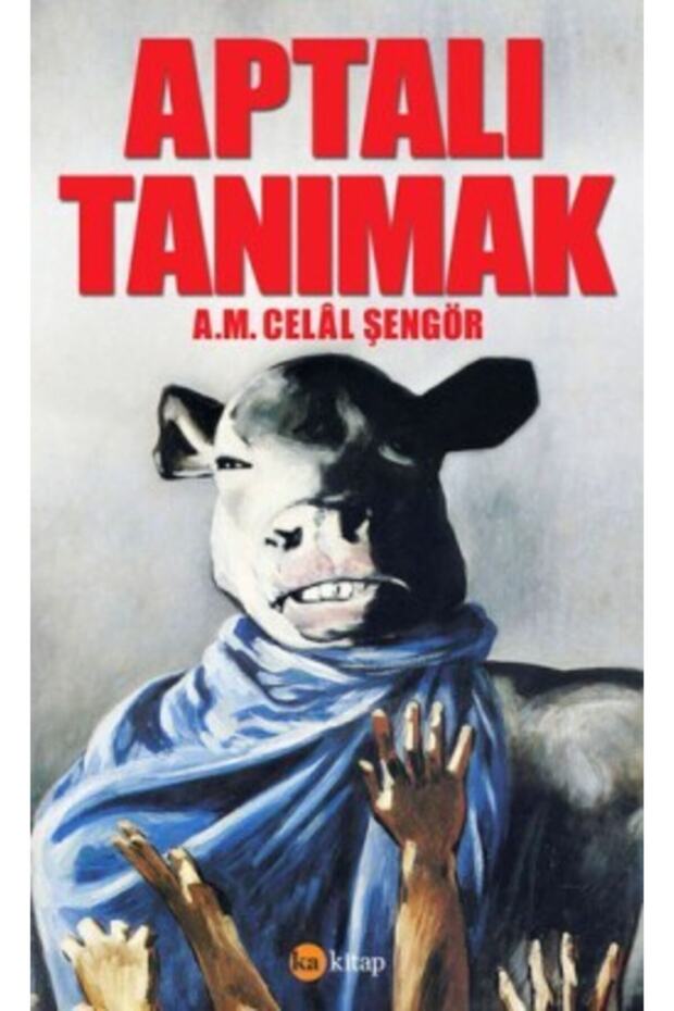 Aptalı Tanımak