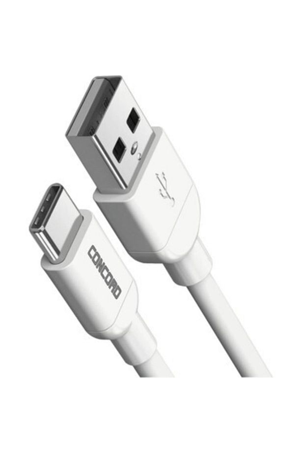 Type C Hızlı Şarj Ve Data Kablosu C-821 100 Cm Kablo - 1