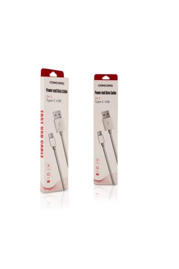 Type C Hızlı Şarj Ve Data Kablosu C-821 100 Cm Kablo - 2
