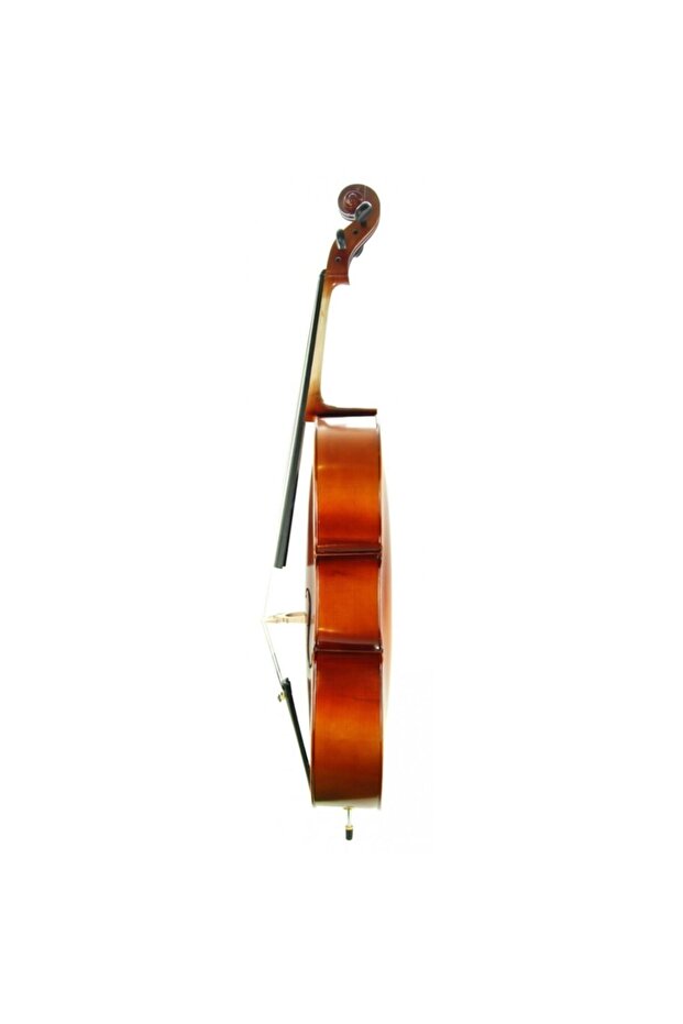 Cello ( Violonsel ) Stanislava STC44BR - 2