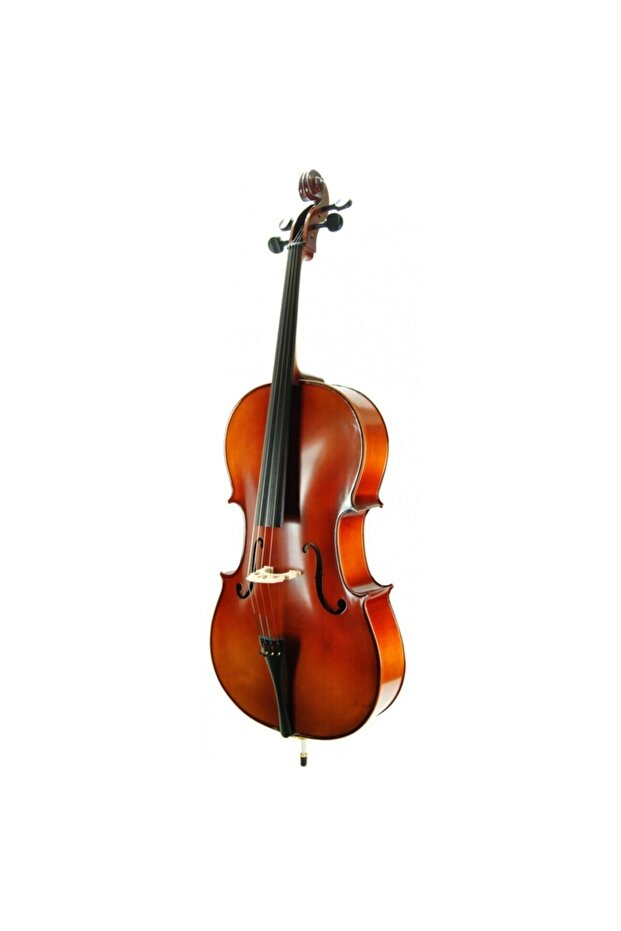Cello ( Violonsel ) Stanislava STC44BR - 4