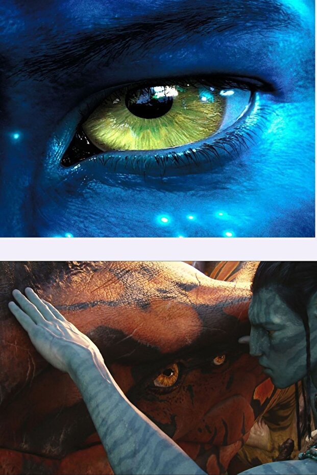 Avatar Poster Set - 7