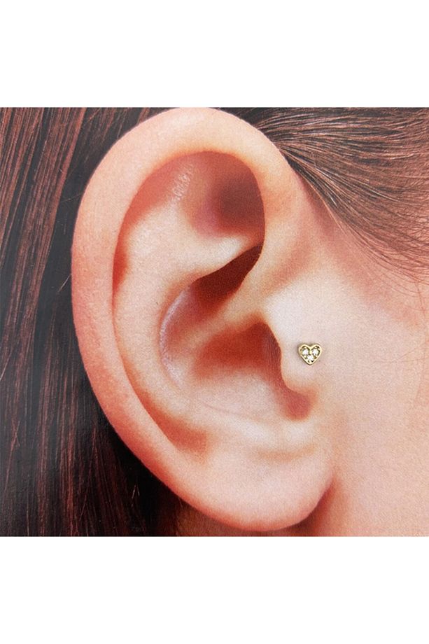 Kalpli Helıx-tragus - 1