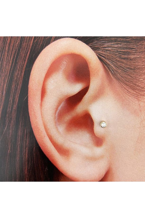 Taşlı Tragus - 1