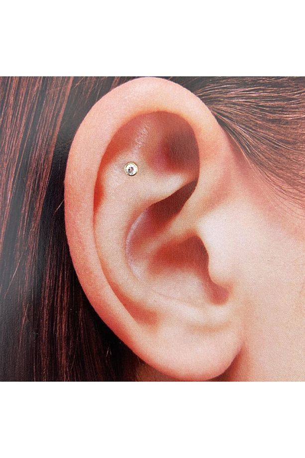 Taşlı Tragus - 2